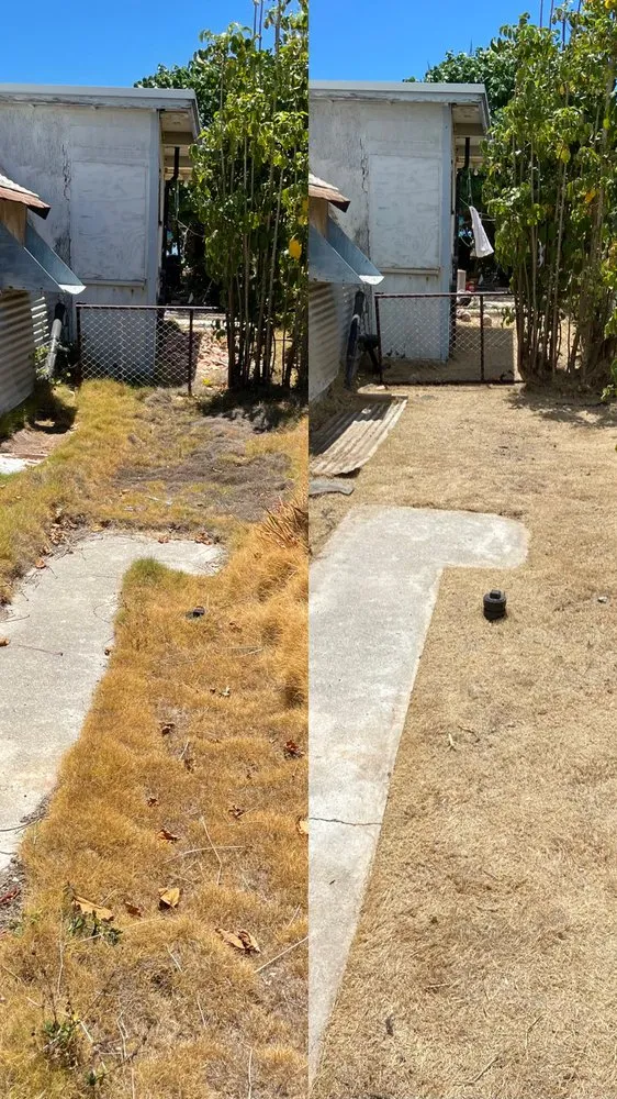 Local yard maintenance for outdoor upgrades in Honolulu, HI by Kanaka Landscaping Services