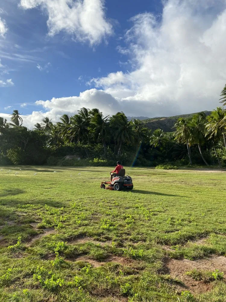 Top-rated yard maintenance in Honolulu, HI - Kanaka Landscaping Services