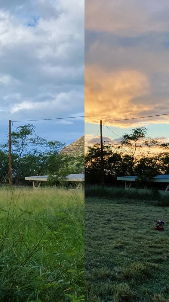 Top-rated landscape installation experts serving Honolulu, HI - Kanaka Landscaping Services