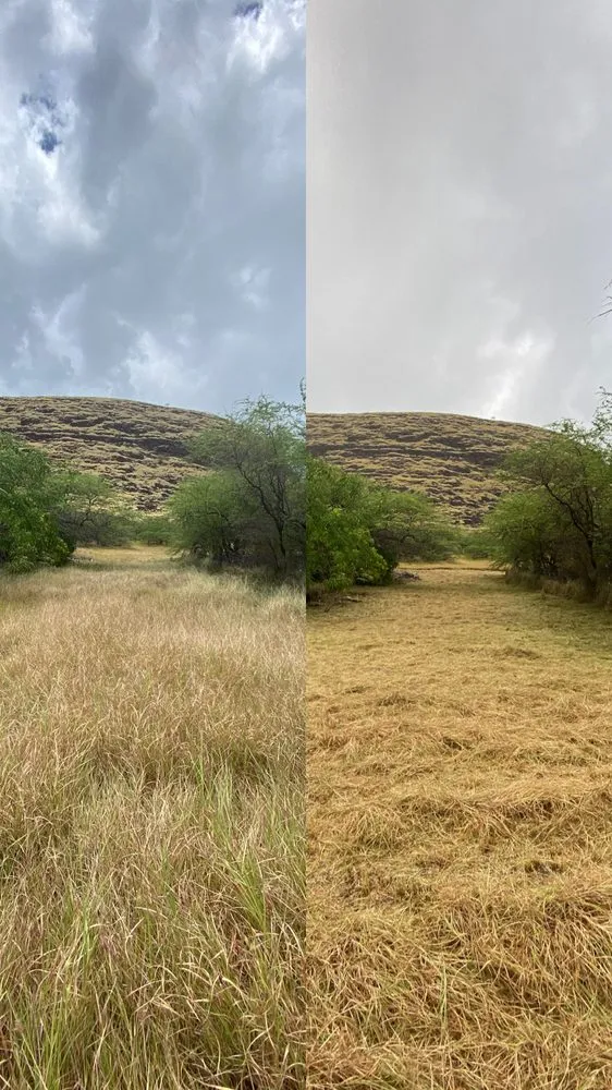 Professional lawn mowing service in Honolulu, HI by Kanaka Landscaping Services