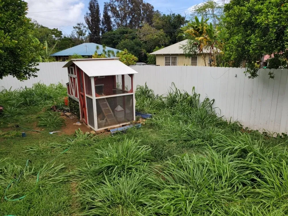 Custom landscape design in Pāhoa, HI - Kanaka Rockwalls Fencing And Landscaping