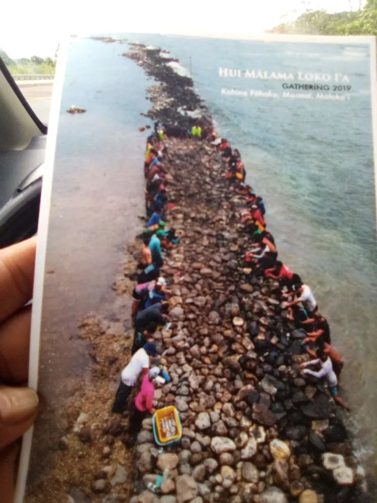 Top-rated landscaping services near you in Pāhoa, HI by Kanaka Rockwalls Fencing And Landscaping