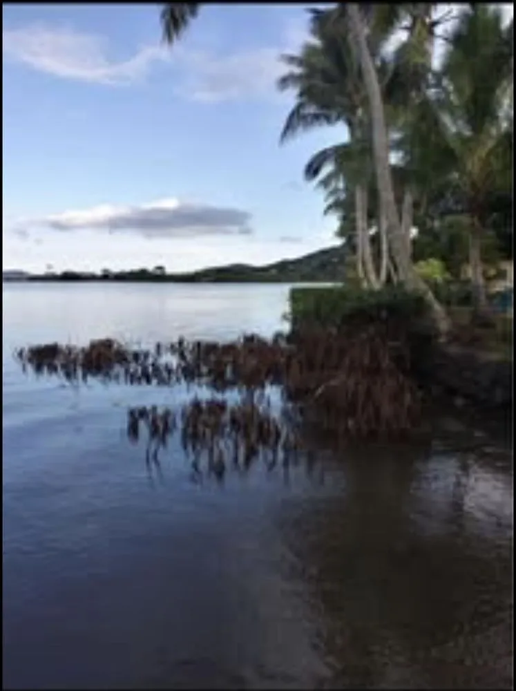 Professional lawn mowing service experts serving Kaneohe, HI - Kanaka Yard Maintenance