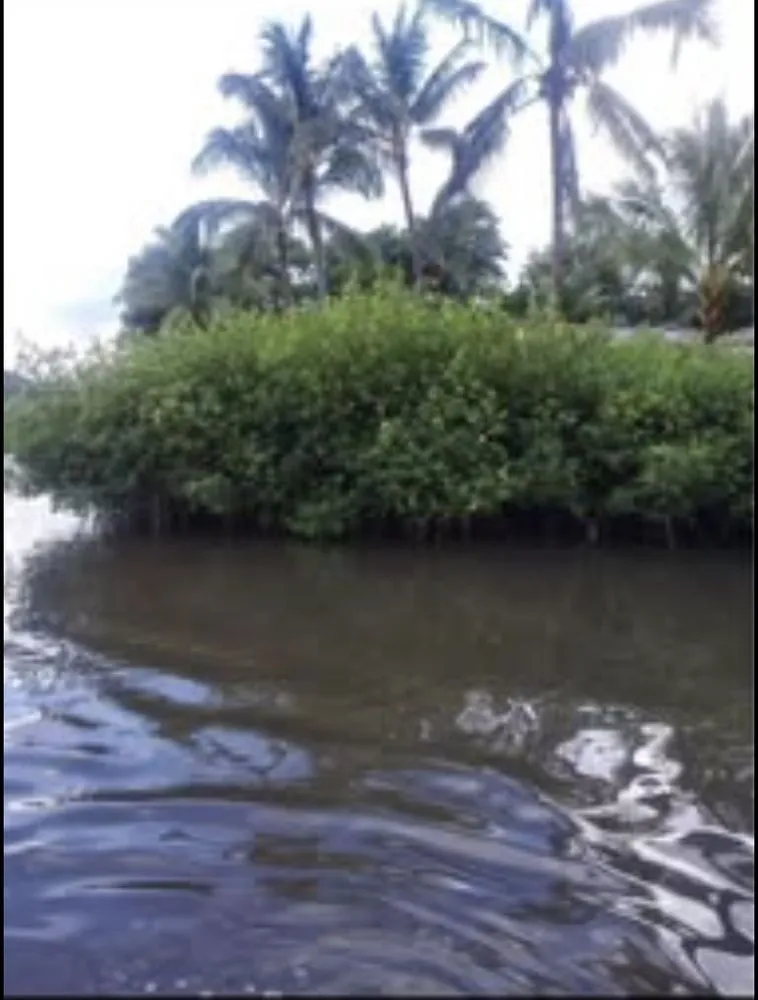 Trusted residential landscaping in Kaneohe, HI - Kanaka Yard Maintenance