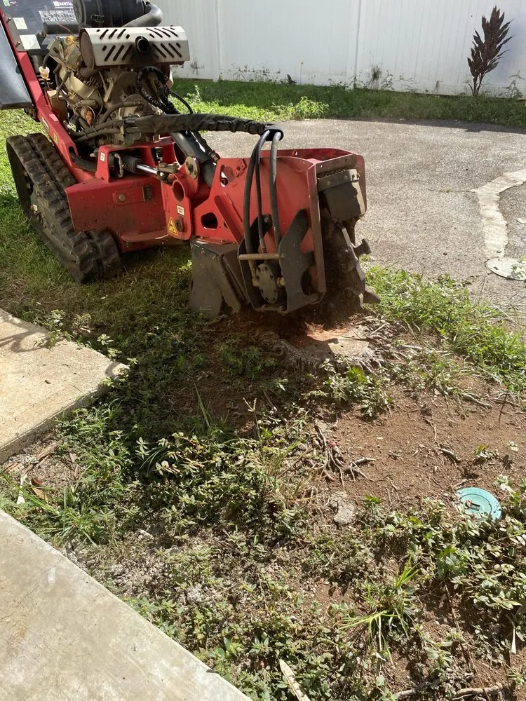 Trusted garden landscaping with custom design in Kaneohe, HI by Kanaka Yard Maintenance