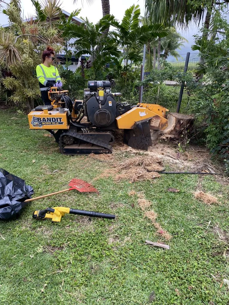 Reliable landscape design with custom design in Kaneohe, HI by Kanaka Yard Maintenance
