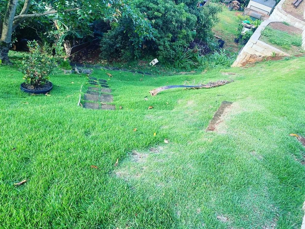Affordable lawn mowing service in Aiea, HI by Kanakz Landscaping And Cleaning