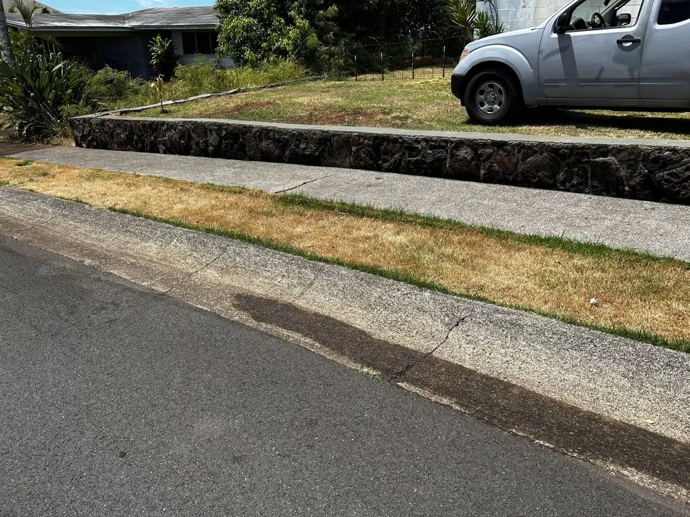 Reliable yard cleanup service for residential properties in Aiea, HI by Kanakz Landscaping And Cleaning
