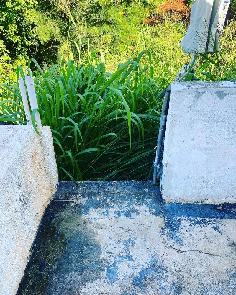 Professional garden landscaping for beautiful yards in Aiea, HI by Kanakz Landscaping And Cleaning