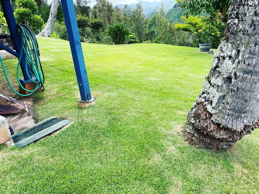 Affordable residential landscaping for beautiful yards in Aiea, HI by Kanakz Landscaping And Cleaning