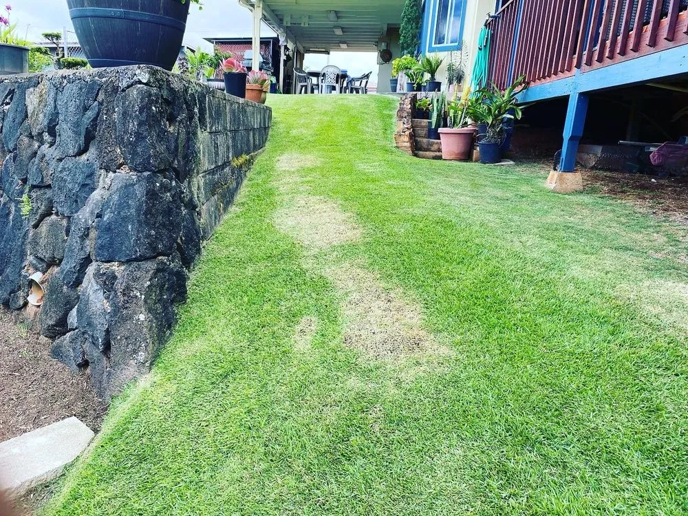 Local landscape design in Aiea, HI - Kanakz Landscaping And Cleaning