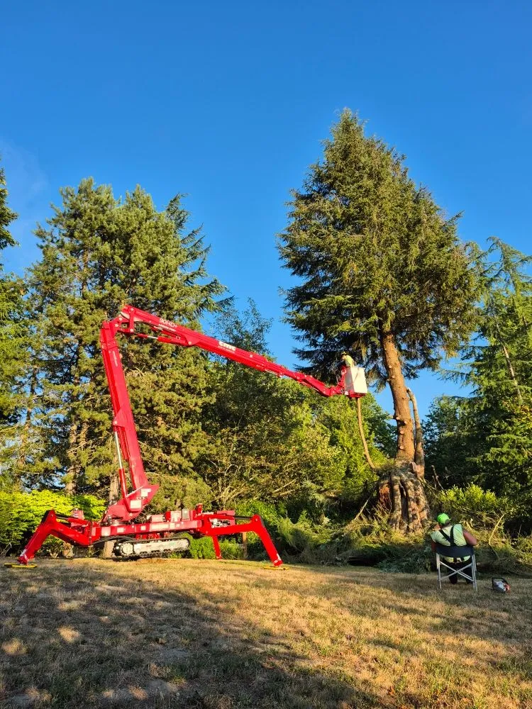 Reliable garden landscaping with custom design in Ravensdale, WA by Kanaskat Tree Service