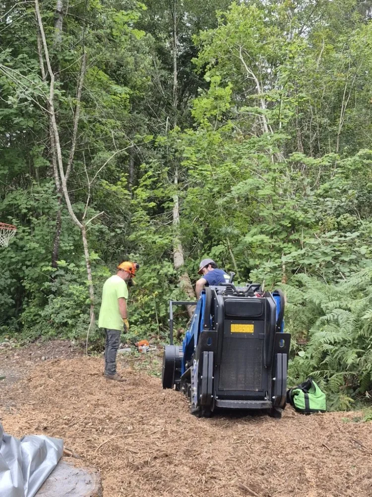 Professional landscape installation with custom design in Ravensdale, WA by Kanaskat Tree Service