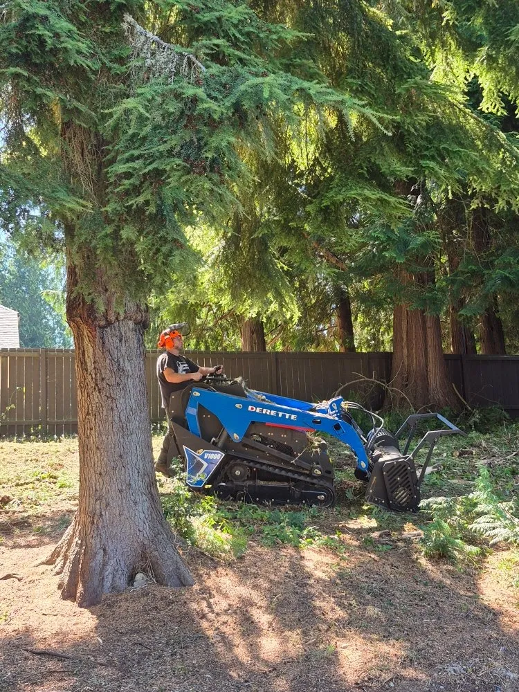 Affordable landscaping services experts serving Ravensdale, WA - Kanaskat Tree Service