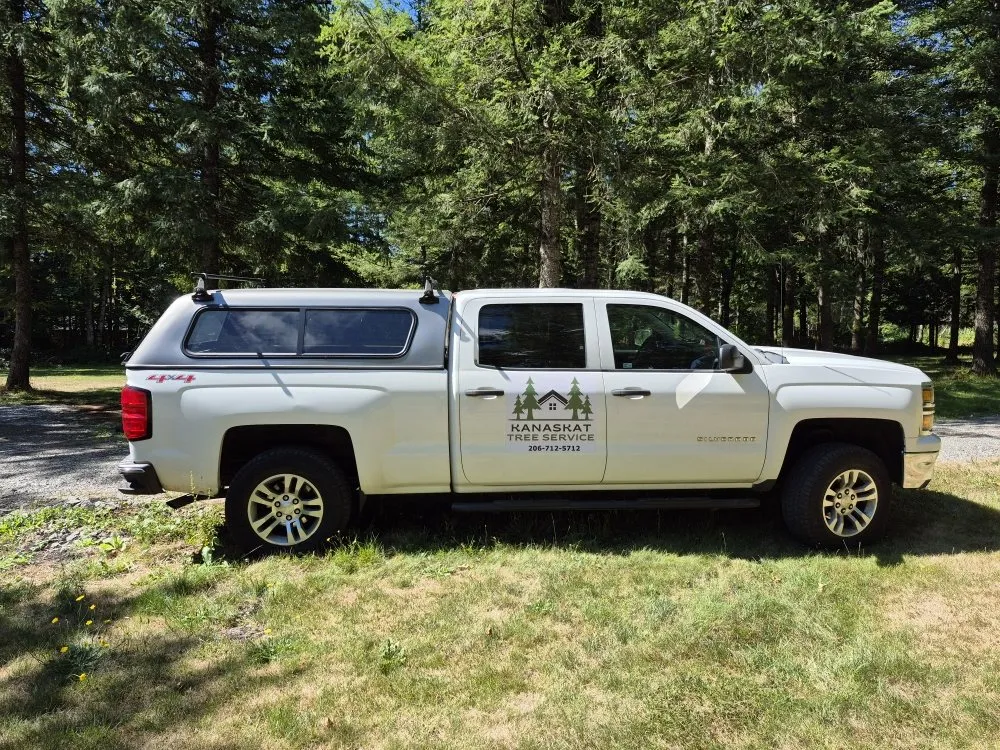 Affordable yard cleanup service for outdoor upgrades across Ravensdale, WA - Kanaskat Tree Service