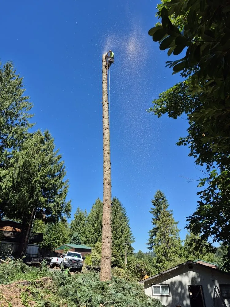 Expert landscape installation experts serving Ravensdale, WA - Kanaskat Tree Service