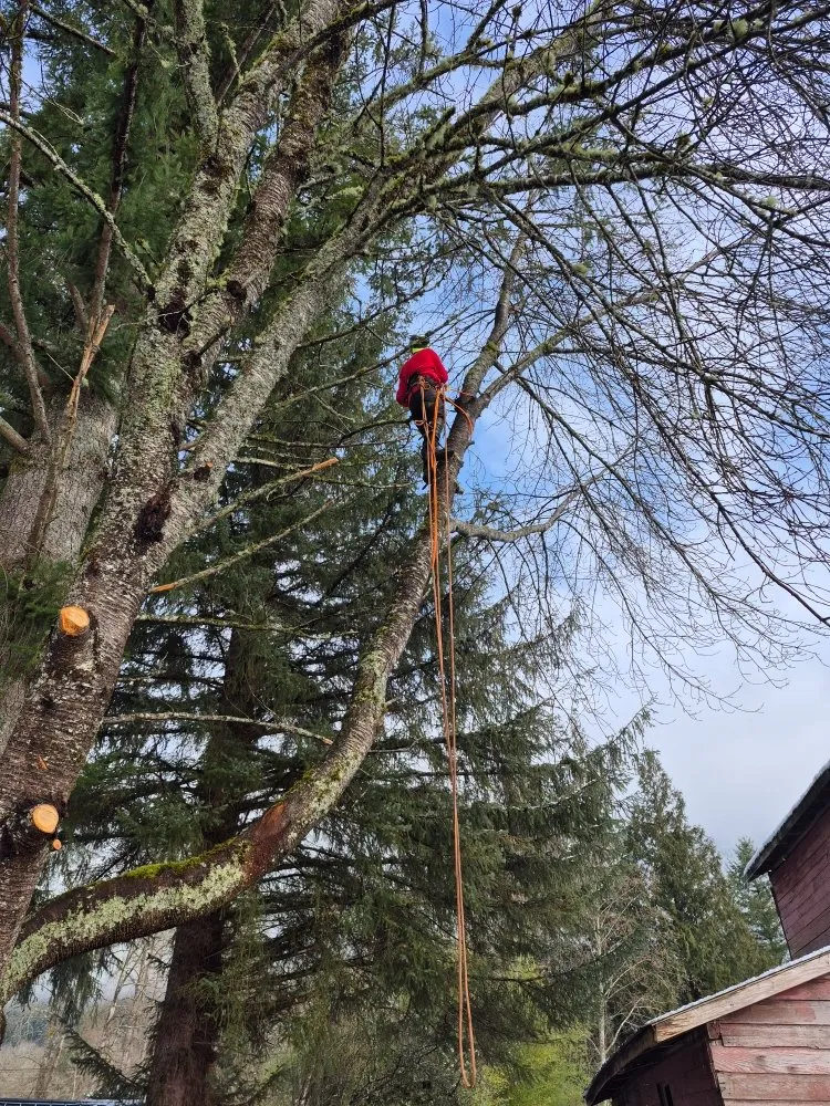 Reliable garden landscaping in Ravensdale, WA by Kanaskat Tree Service