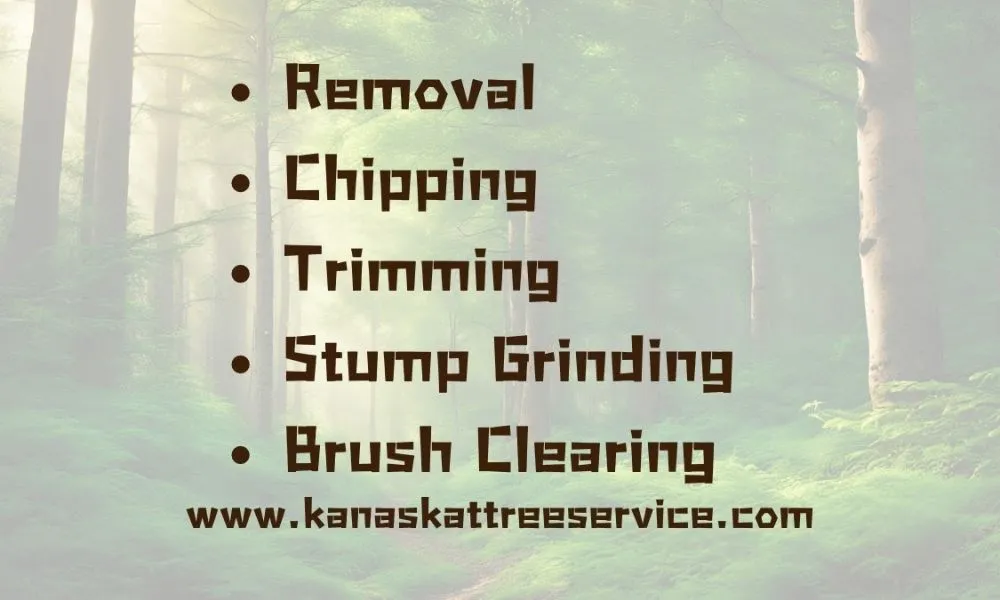 Trusted landscaping services for year-round maintenance in Ravensdale, WA by Kanaskat Tree Service