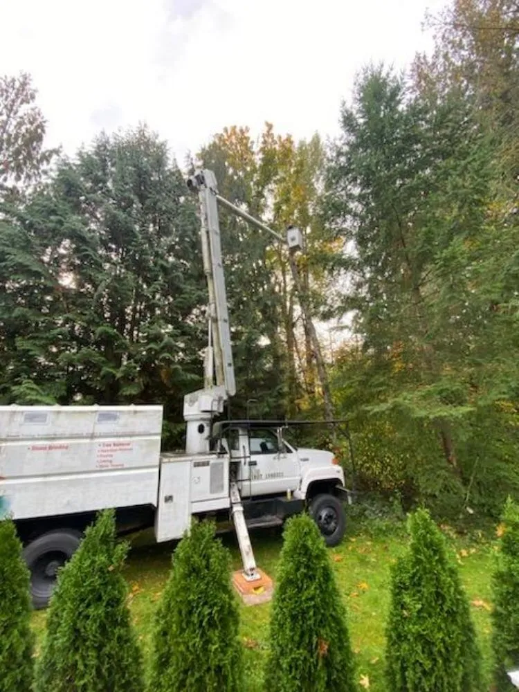 Trusted landscape installation near you across Ravensdale, WA - Kanaskat Tree Service