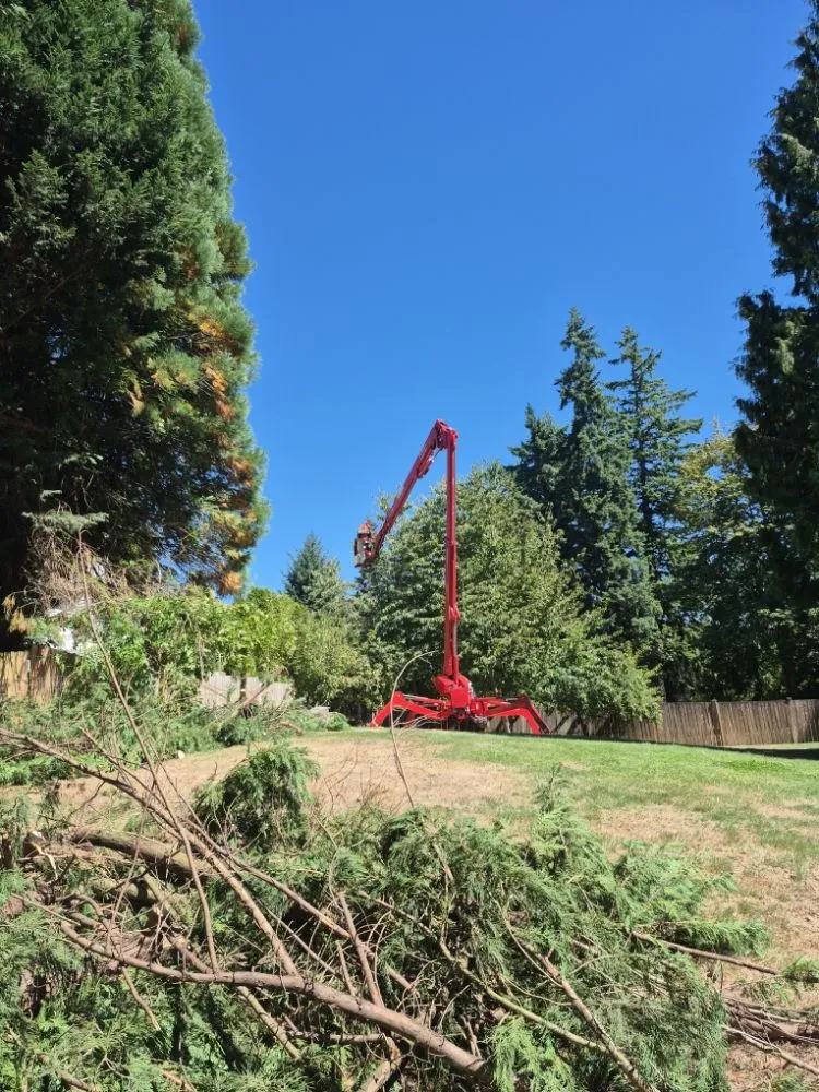 Local outdoor landscaping near you across Ravensdale, WA - Kanaskat Tree Service