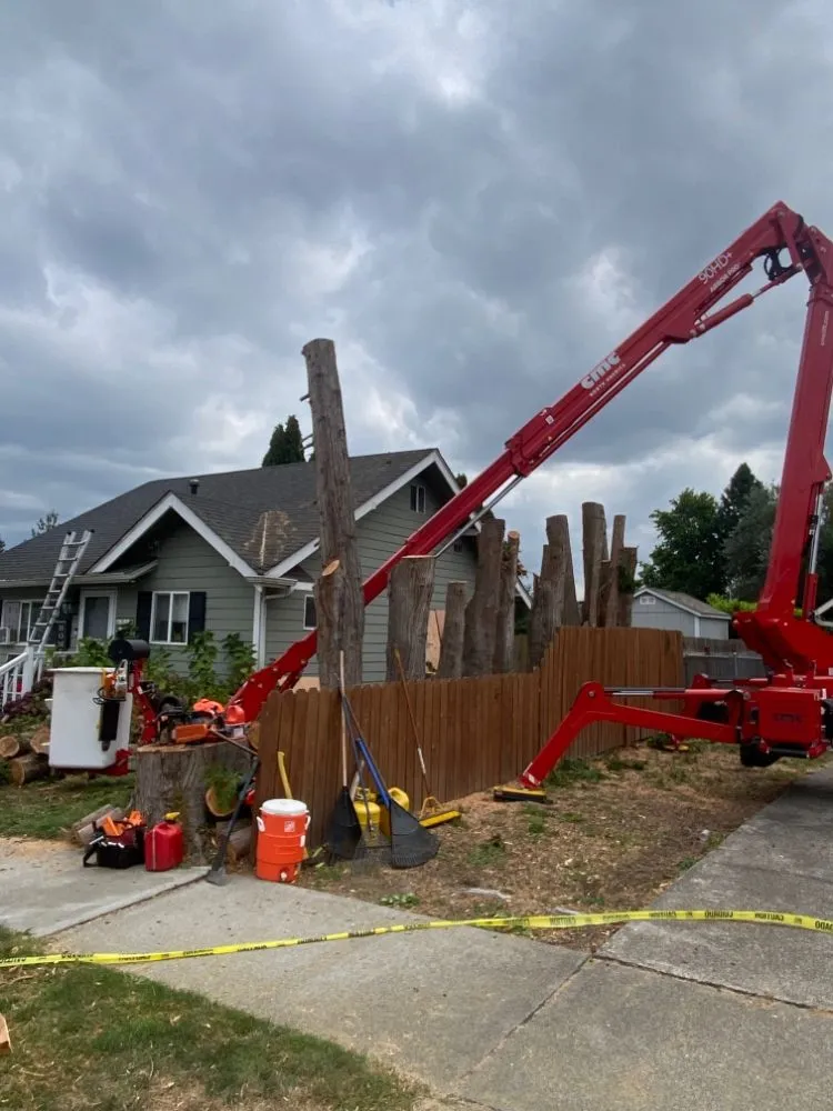 Expert lawn mowing service in Ravensdale, WA - Kanaskat Tree Service