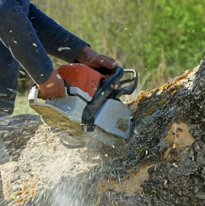 Custom outdoor landscaping with custom design across Ravensdale, WA - Kanaskat Tree Service