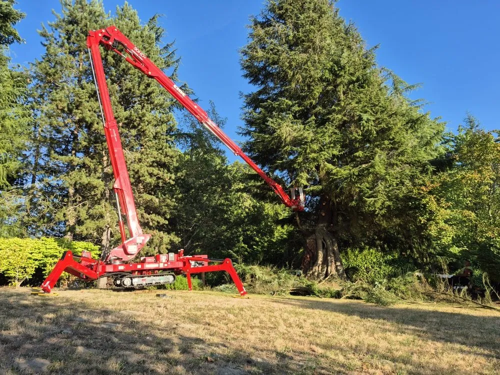 Local landscaping services experts serving Ravensdale, WA - Kanaskat Tree Service