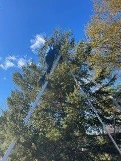 Professional landscaping services near you across Elm Grove, WI - Kanavas Landscape Management