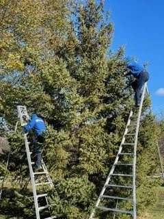 Reliable residential landscaping in Elm Grove, WI - Kanavas Landscape Management