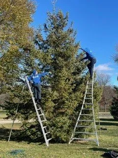 Top-rated landscape design experts serving Elm Grove, WI - Kanavas Landscape Management