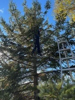 Professional yard maintenance in Elm Grove, WI by Kanavas Landscape Management