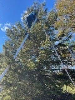 Reliable landscape design in Elm Grove, WI - Kanavas Landscape Management