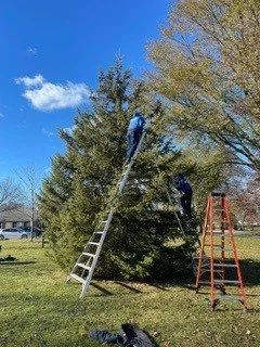 Affordable lawn care service in Elm Grove, WI - Kanavas Landscape Management