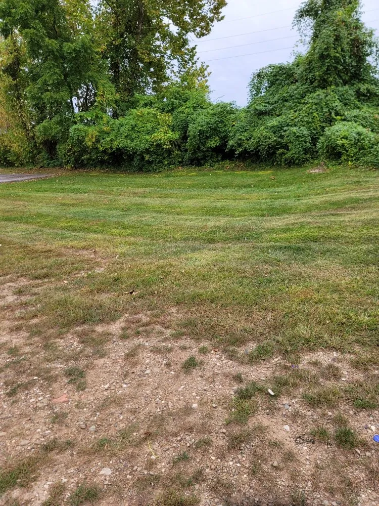 Expert yard cleanup service for beautiful yards in South Charleston, WV by Kanawha Valley Lawn Care