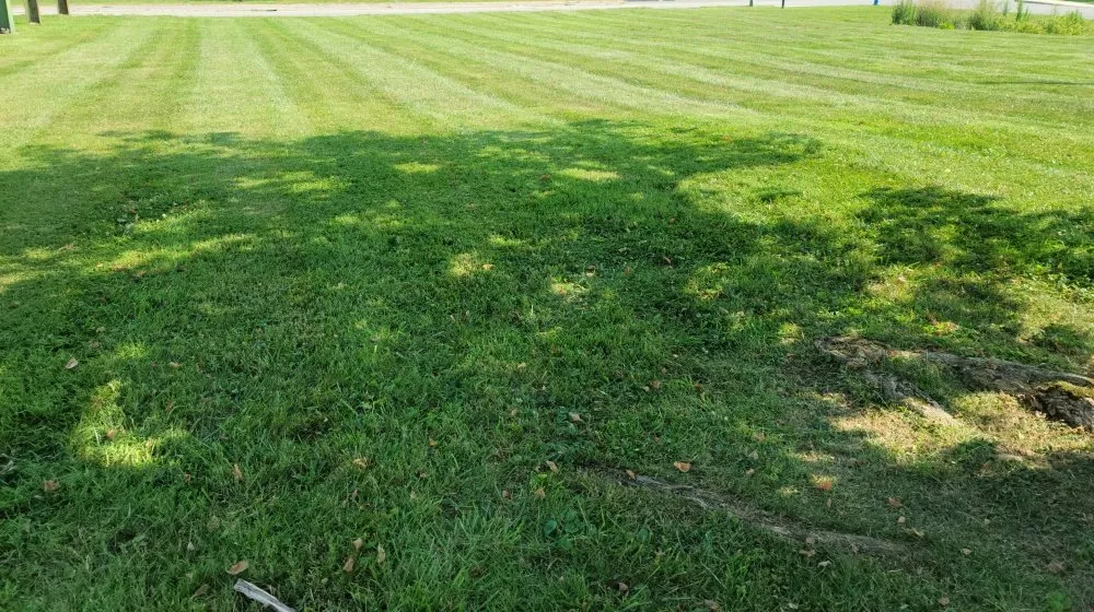 Local yard cleanup service for residential properties in South Charleston, WV by Kanawha Valley Lawn Care