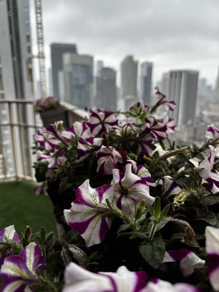 Reliable outdoor landscaping in Maywood, NJ by Kane Enterprises