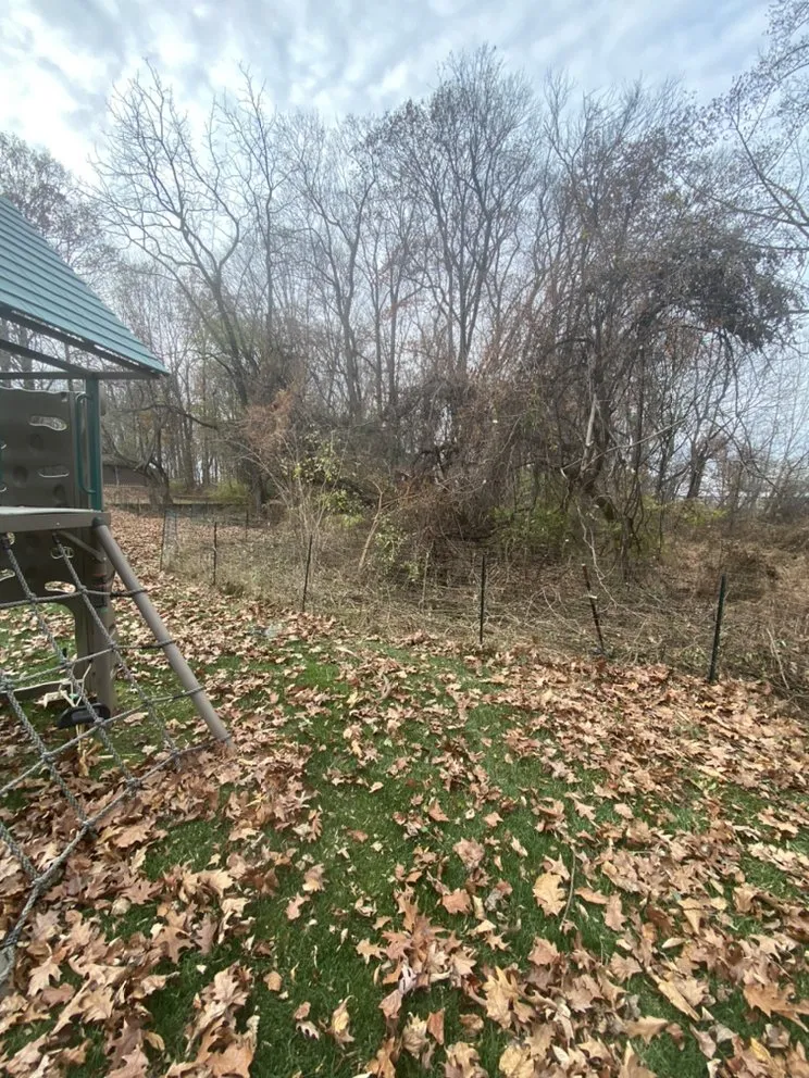 Affordable residential landscaping near you across West Chester, PA - Kane Property Management