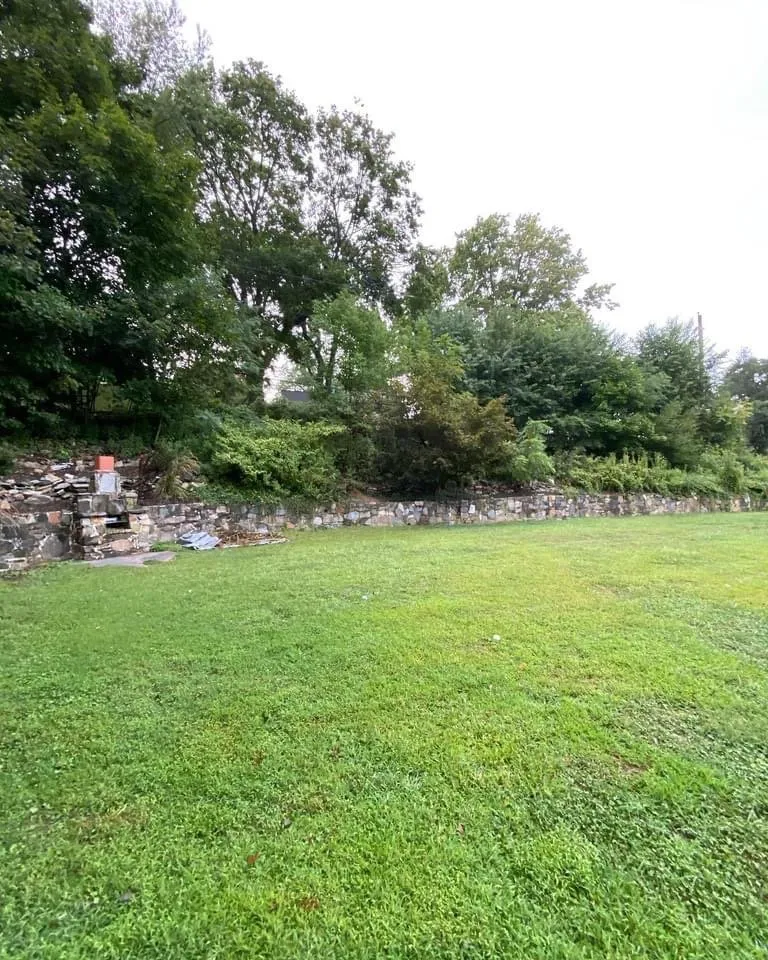 Reliable yard cleanup service in West Chester, PA - Kane Property Management