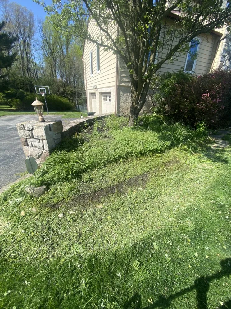 Local lawn care service near you in West Chester, PA by Kane Property Management