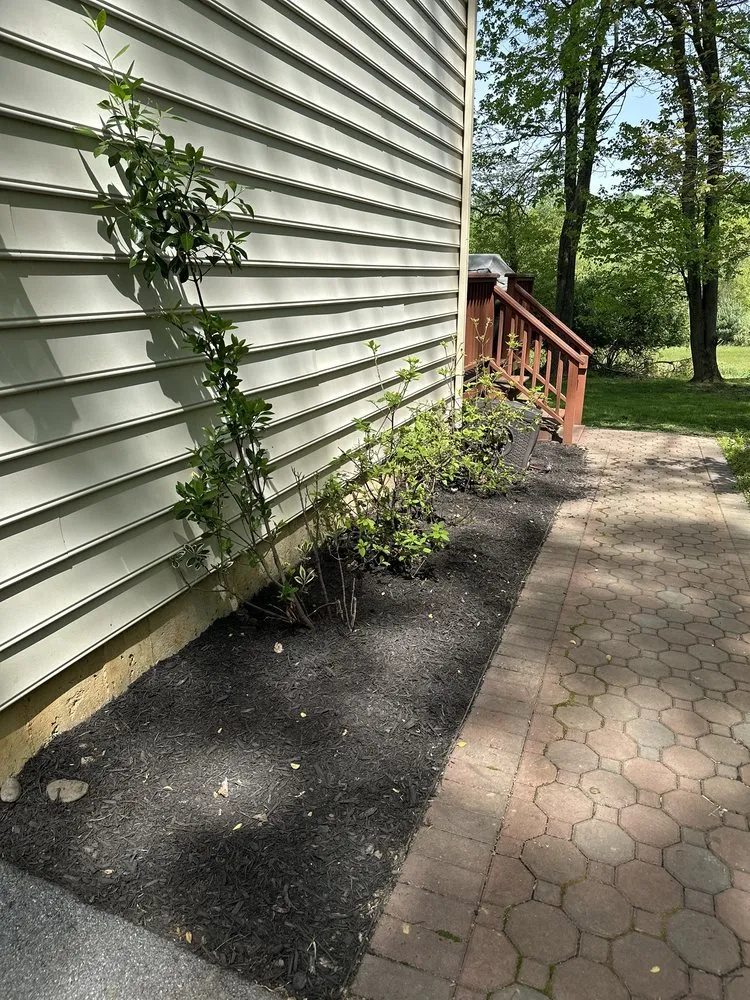Custom yard cleanup service in West Chester, PA by Kane Property Management