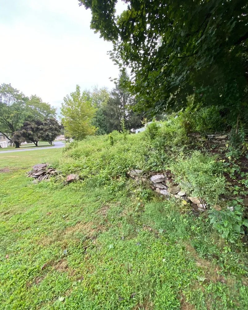 Expert lawn care service with custom design in West Chester, PA by Kane Property Management