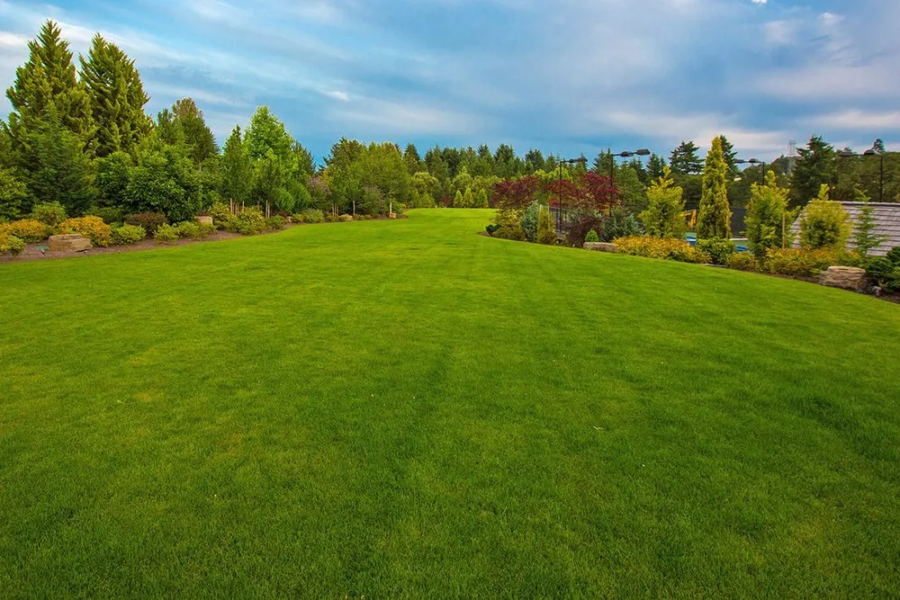 Local landscaping services for homes in McAdoo, PA by Kanes lawn service