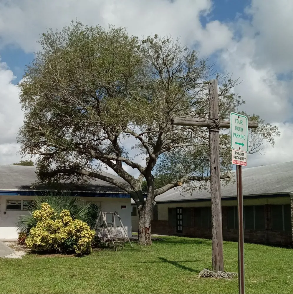 Professional landscape design with custom design in Lauderdale Lakes, FL by Kangaroo Landscaping