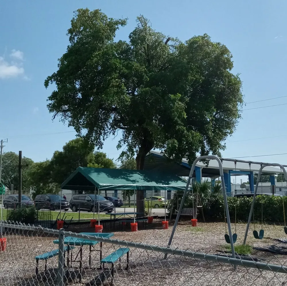 Affordable garden landscaping in Lauderdale Lakes, FL - Kangaroo Landscaping