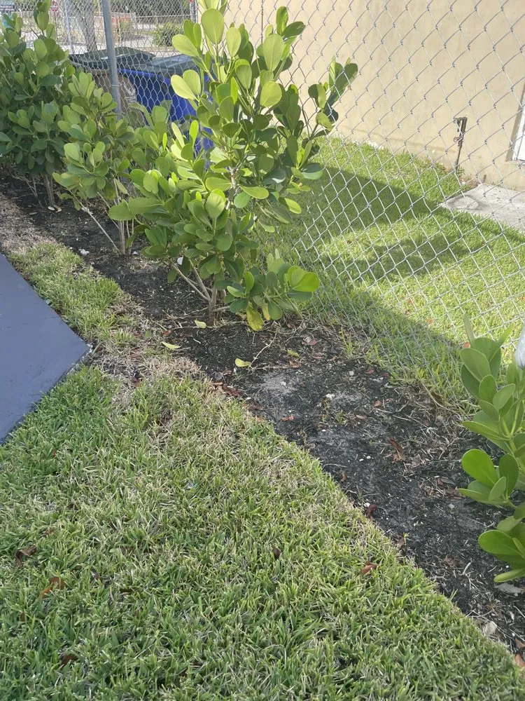 Expert garden landscaping for beautiful yards in Lauderdale Lakes, FL by Kangaroo Landscaping