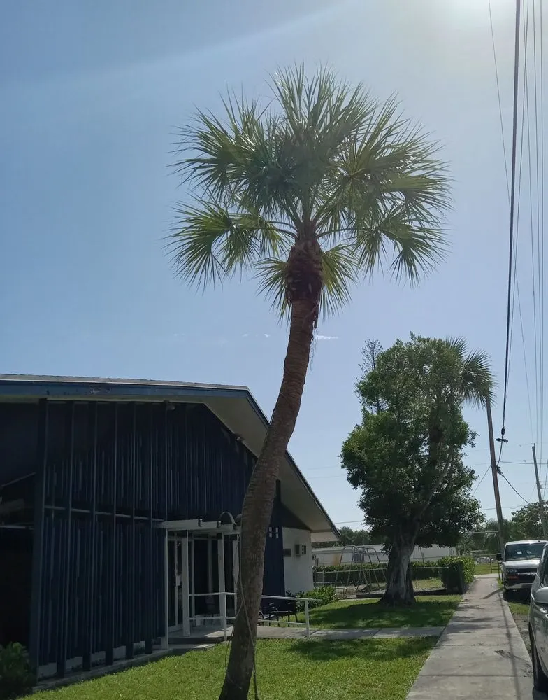 Custom landscape design in Lauderdale Lakes, FL - Kangaroo Landscaping