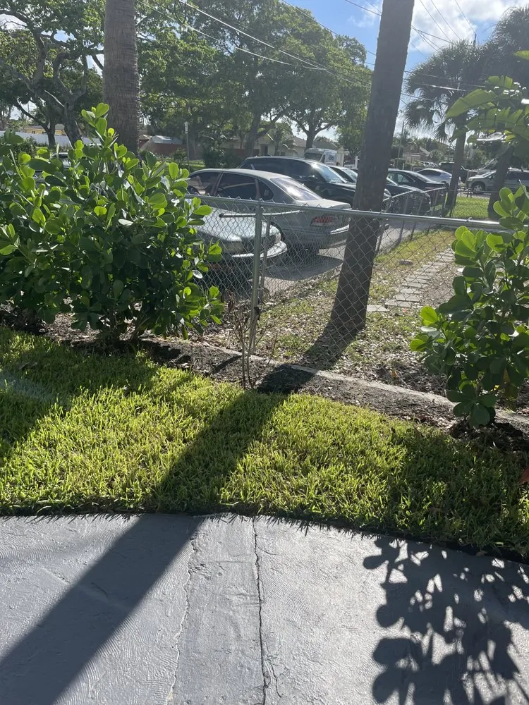 Top-rated landscape installation in Lauderdale Lakes, FL - Kangaroo Landscaping