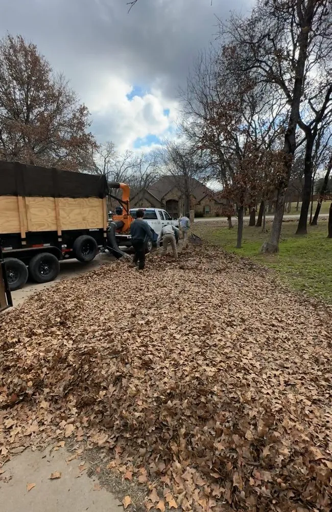 Trusted landscape design for year-round maintenance across Weatherford, TX - Kangaroo Outdoor Solutions