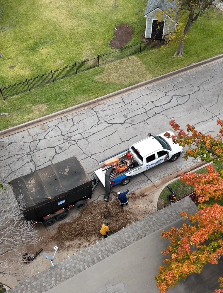 Top-rated landscape installation for outdoor upgrades in Weatherford, TX by Kangaroo Outdoor Solutions