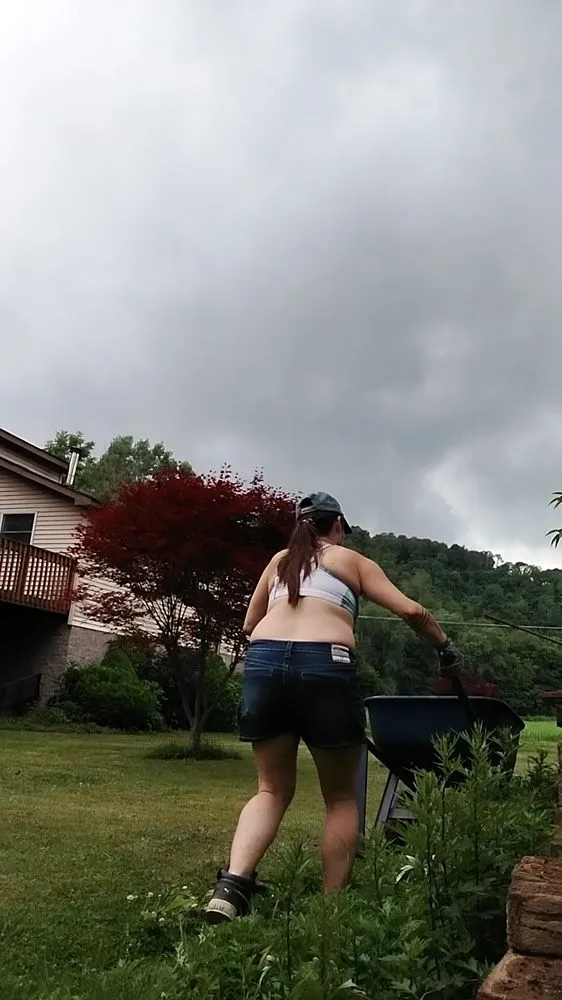 Local lawn care service in Ellwood City, PA by Kangaroo Paws